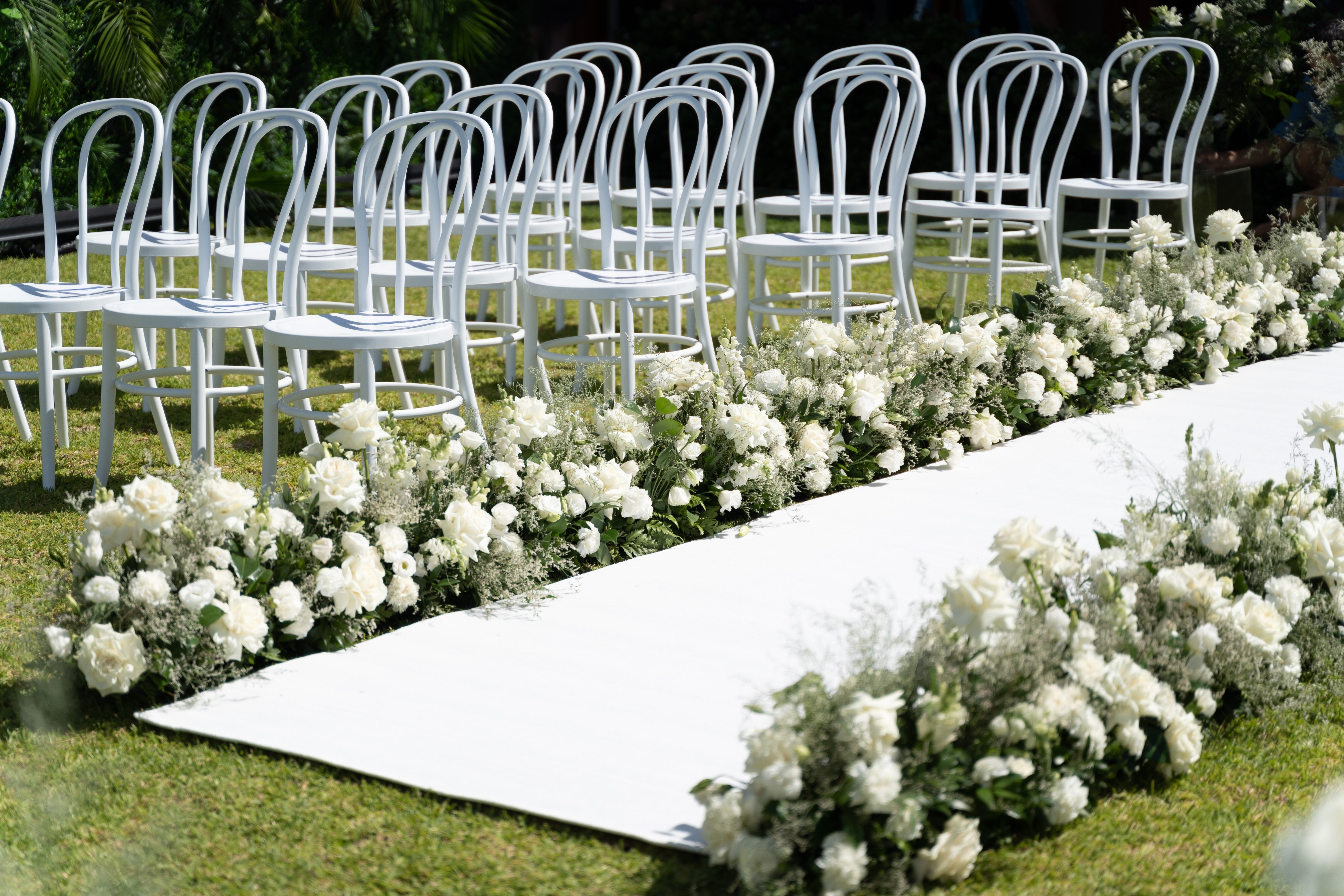 White Bentwood