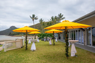 Yellow Umbrella