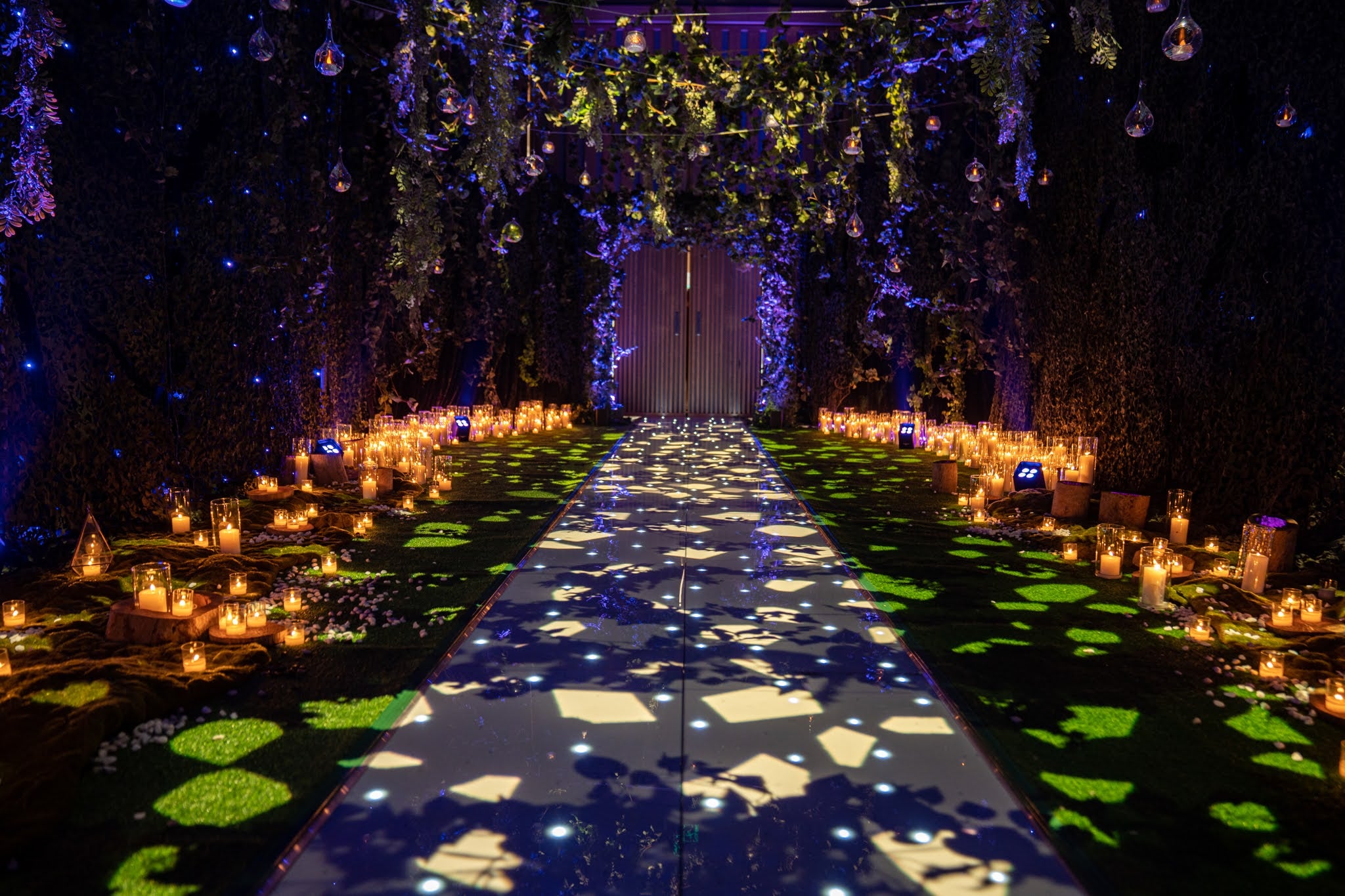 Enchanted Forest