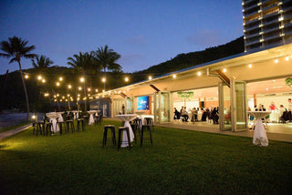 Beach Pavilion 60m Festoon Lighting Package