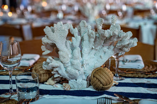 Large Assorted Coral