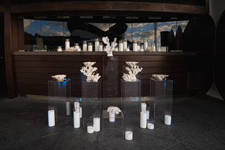 Clear Acrylic Plinth