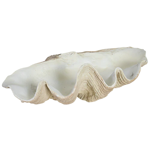 Clam Shell