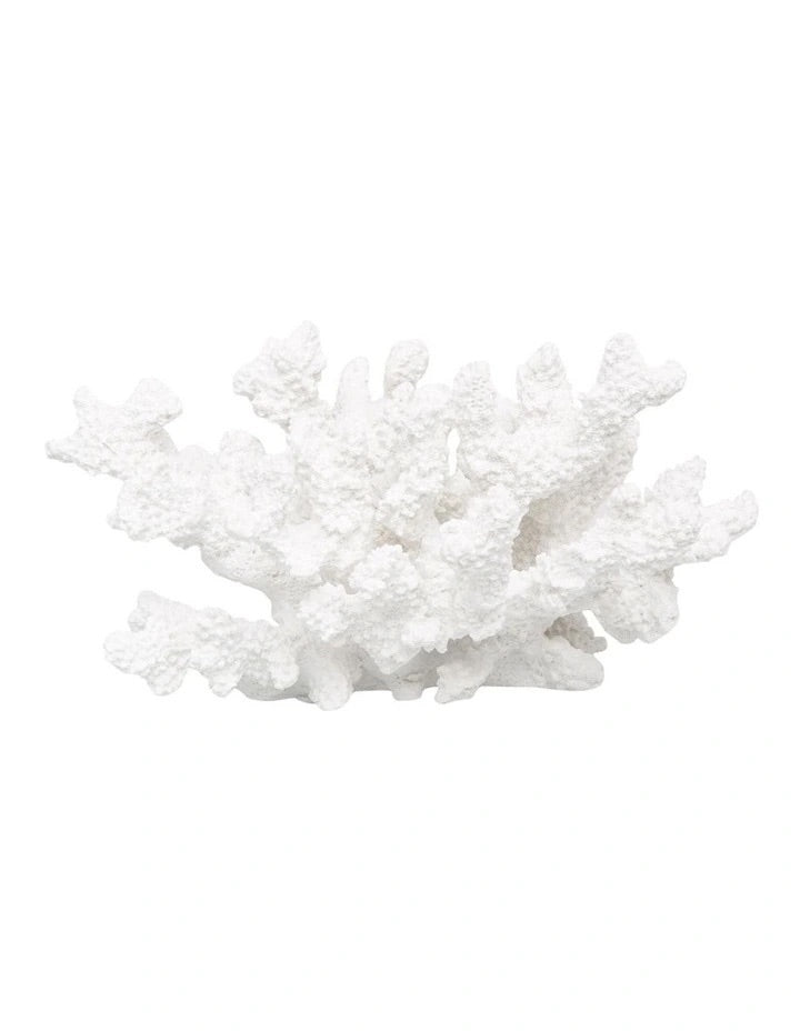 Small Assorted Coral