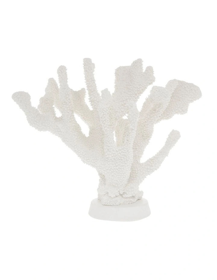 Large Assorted Coral