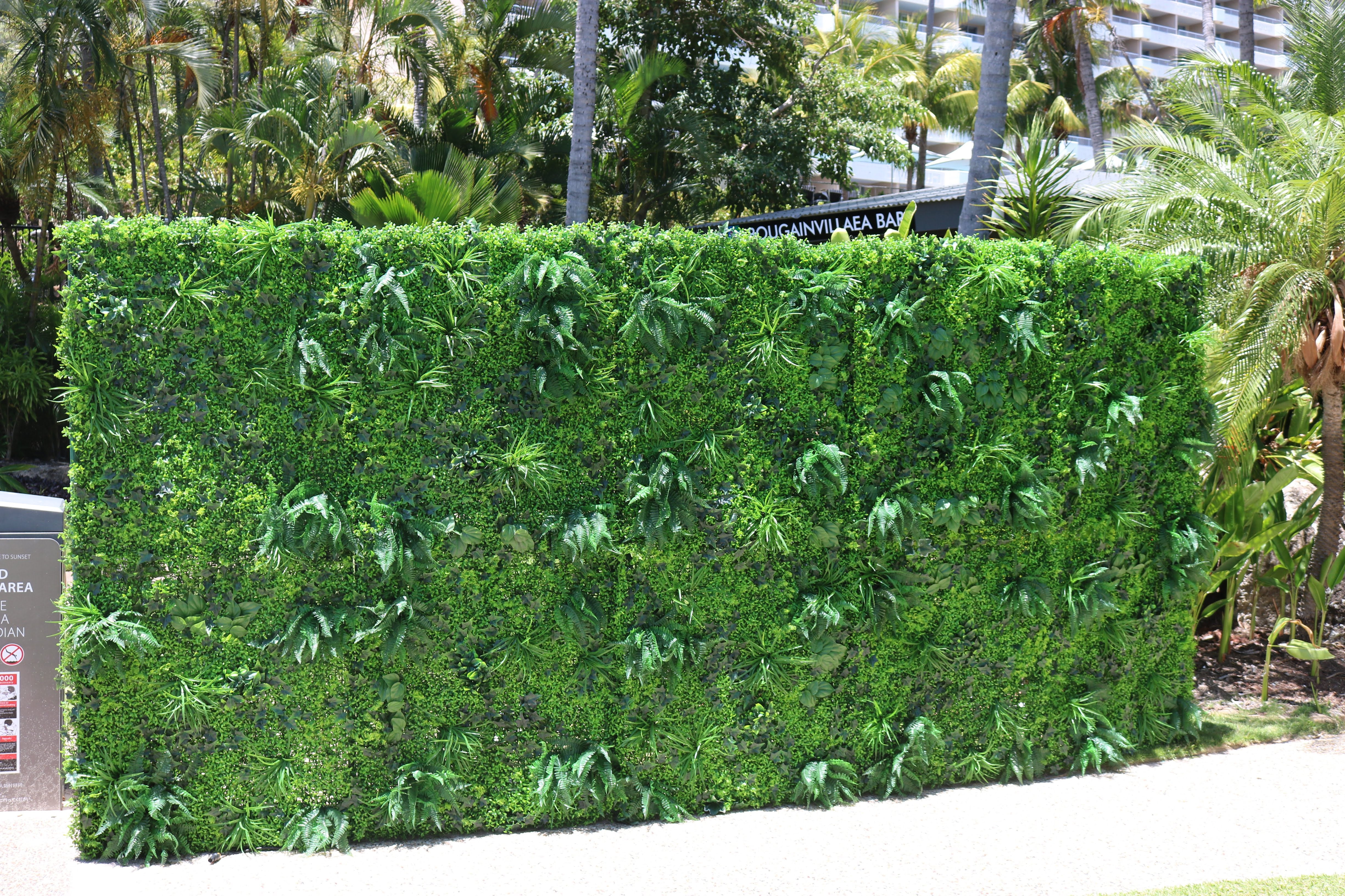 Tropical Wall