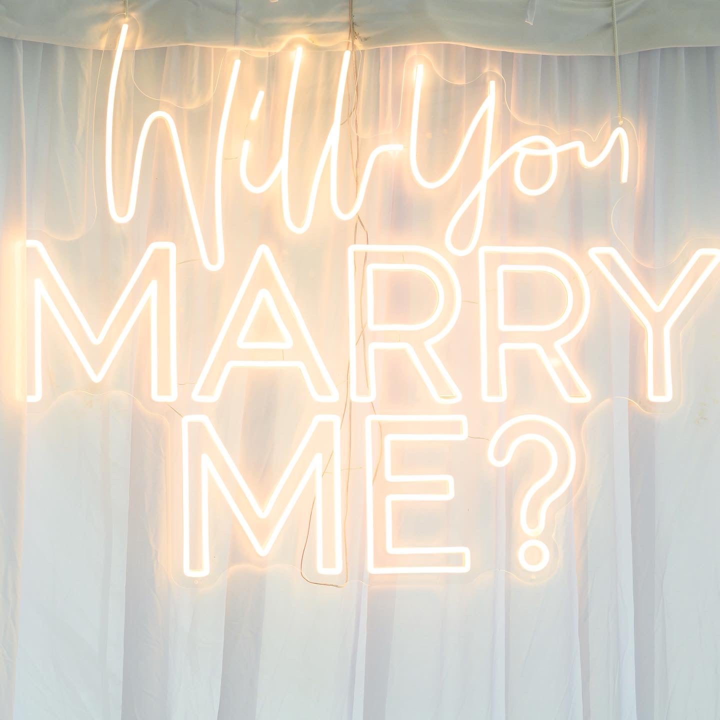 Neon 'Will You Marry Me?'